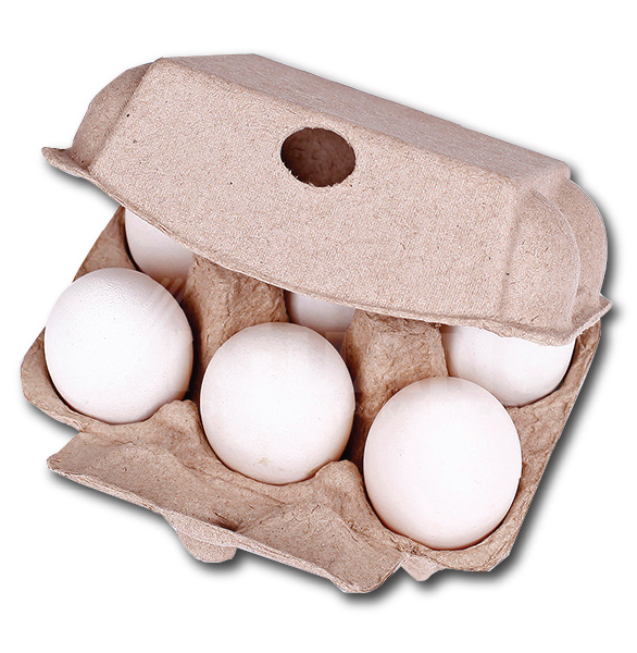 Brand New Natural/Rustic 6s 'Half-Dozens' Egg Cartons - Eco-Friendly and Sturdy Egg Storage