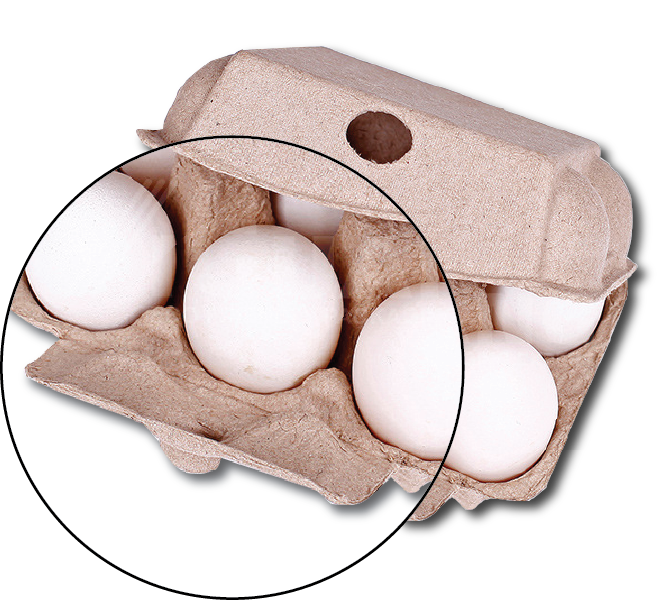 Brand New Natural/Rustic 6s 'Half-Dozens' Egg Cartons - Eco-Friendly and Sturdy Egg Storage